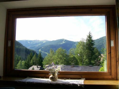 Apartamento Appartement Latschen - Ferienhaus