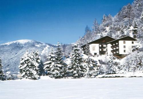 Hostal Hotel Garni Haus Sonnblick