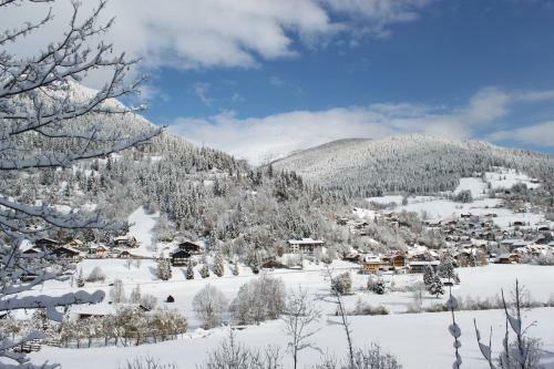 Hostal Hotel Garni Haus Sonnblick