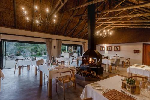 Bukela Game Lodge - Amakhala Game Reserve
