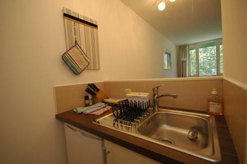 Apartment Chamois Blanc 420