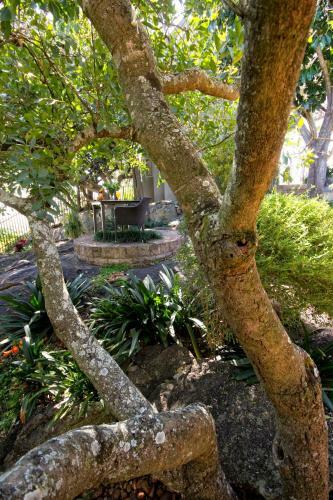 Hostal Loerie's Call Guesthouse