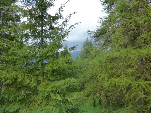 Apartamento Le Hameau