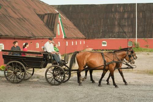 Holtegaard Bed & Breakfast