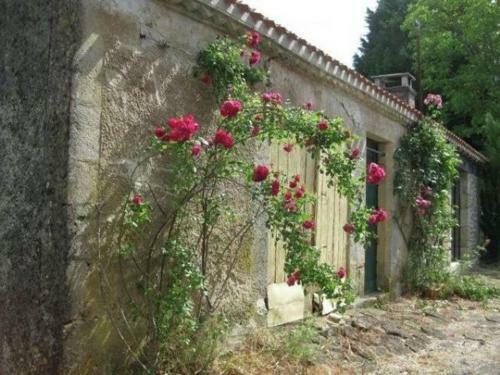 Upscale Mansion In Neuffons With Swimming Pool And Garden