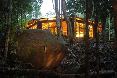 Daintree Cascades