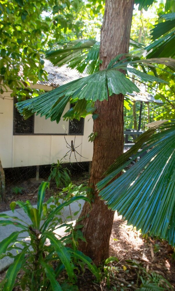 Hotel Cape Trib Beach House