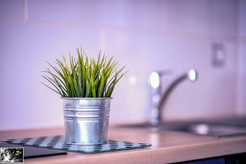 Apartamento Appartement Spacieux Schiltigheim