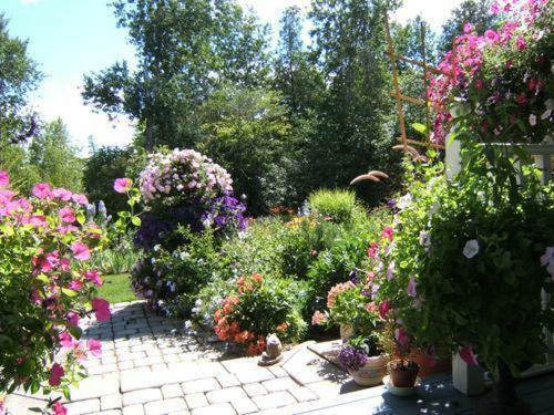 Riverwood Bed & Breakfast