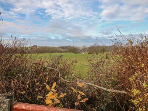 Basford View