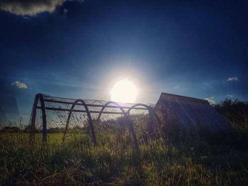 Plumptons Farm Holiday Lodges