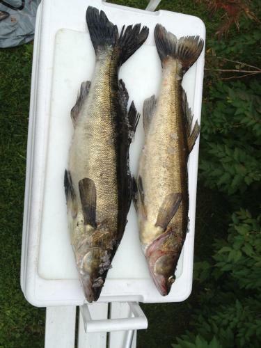 Lodge Hyv�l�n M�kit