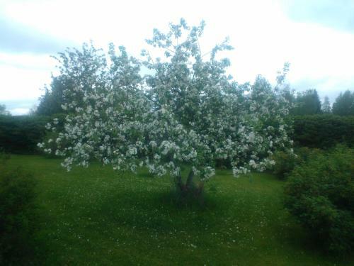 Lodge Hyv�l�n Talo