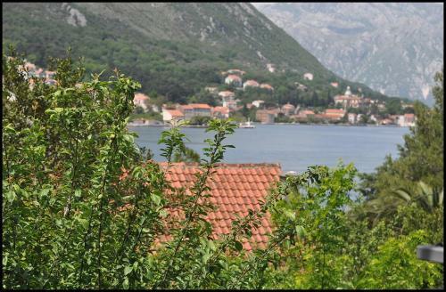 Apartments Jovanovic