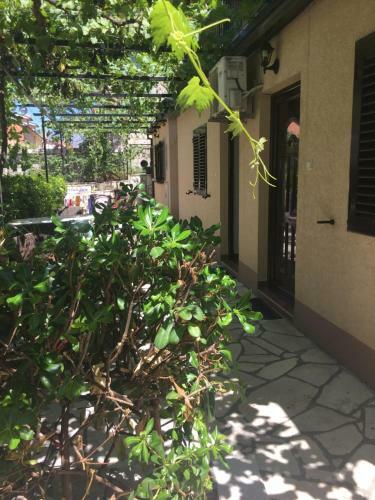 Bjelica Apartments Kotor