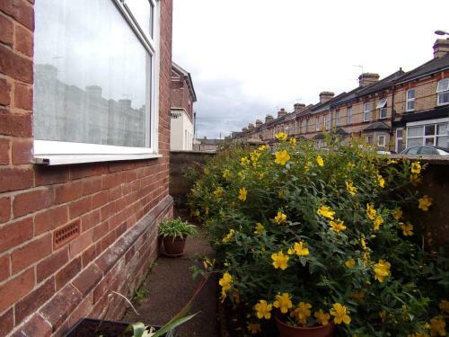 Hostal St Anne's Road Guest House