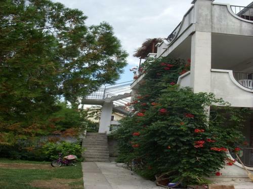 Apartments Ivani?evi?