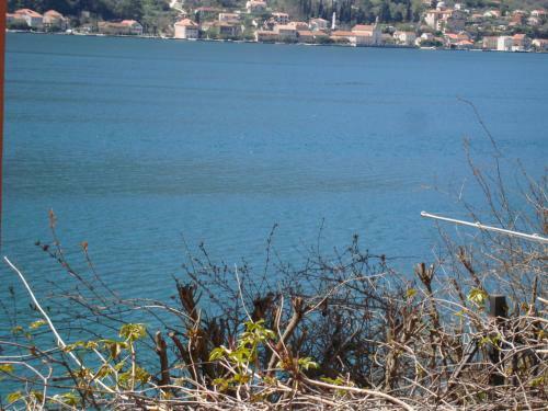 Apartamentos Villa Zvicer