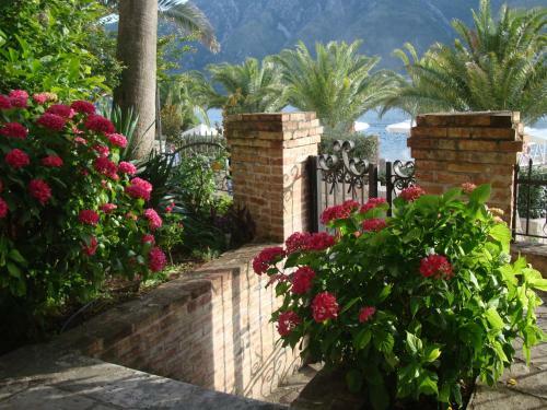 Apartamentos Villa Zvicer