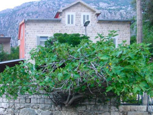 Apartamentos Villa Zvicer