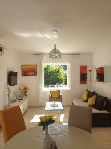 Savi? Apartments