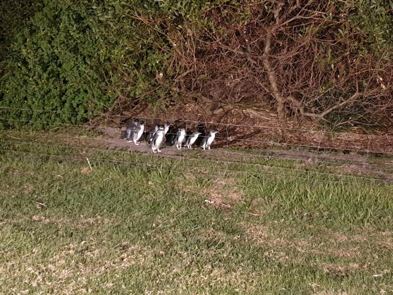 Hotel Diamond Island Resort