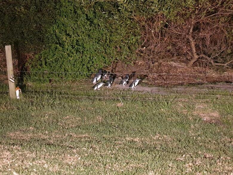 Hotel Diamond Island Resort