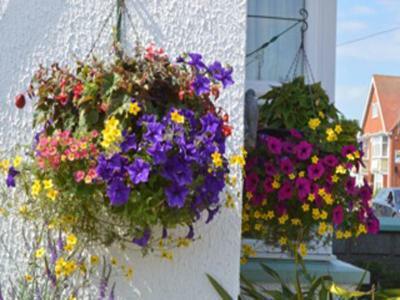 Hostal White Heather Guest House