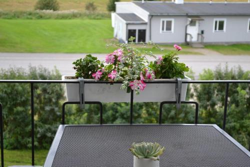 Posada Bergg�rdens G�stgiveri