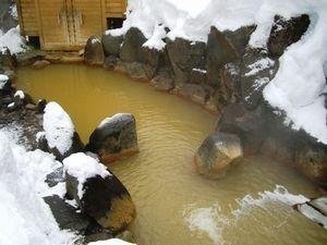 Hotel Ryokan Ontake