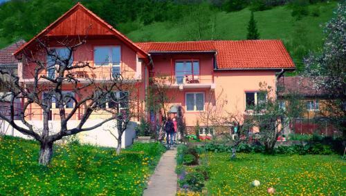 Hostal Pensiunea Sighisoara