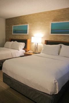 Hotel Holiday Inn Anaheim