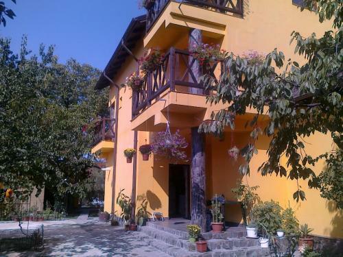 Hostal Pensiunea Elena