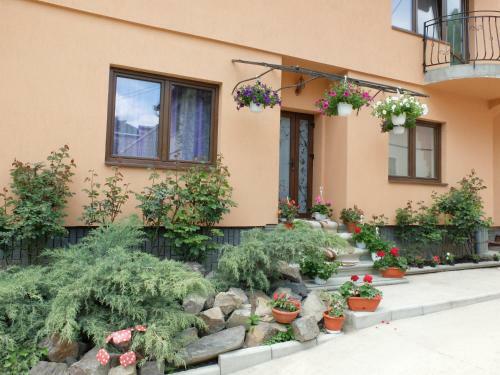 Hostal Dupa Apa La Razvan