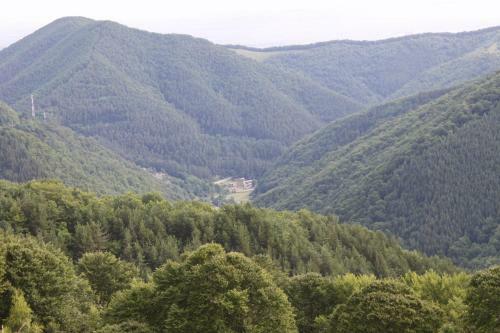 Hostal Pension Curmatura Stezii