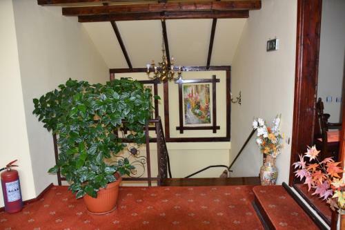 Hostal Pension Kokett