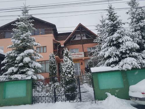 Hostal Pension Piscul Soarelui