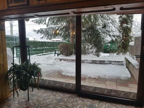 Hostal Pension Piscul Soarelui
