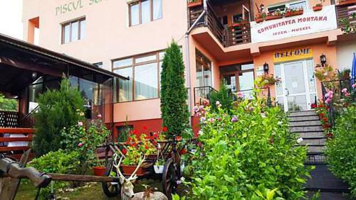 Hostal Pension Piscul Soarelui