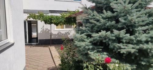 Hostal Anacris Economy