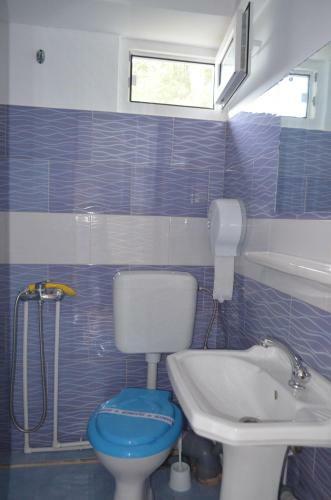 Hostal Complex Minerva - Vilele Alina & Aura