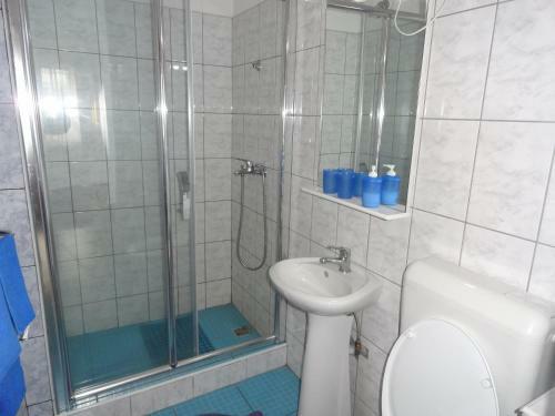Hostal Pensiunea Mikelis International