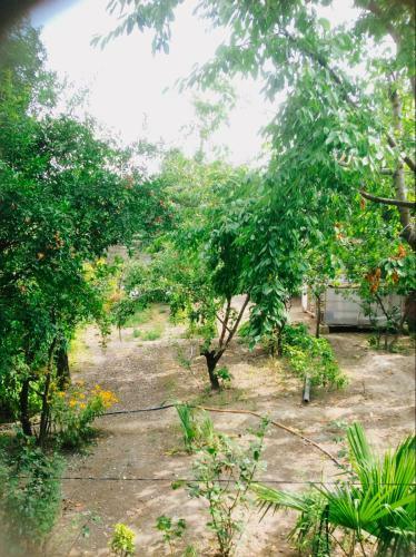 Hostal Classic Hospitality House