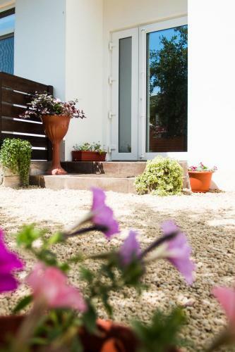 Hostal Dom19 Lazurnyy 38