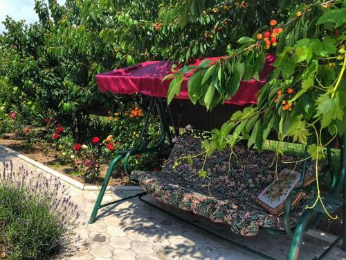 Hostal Villa Rose