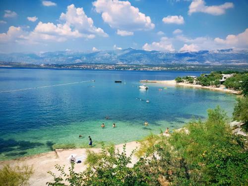 Apartment Novigrad Holiday