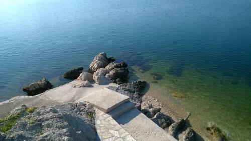 Apartment Novigrad Holiday