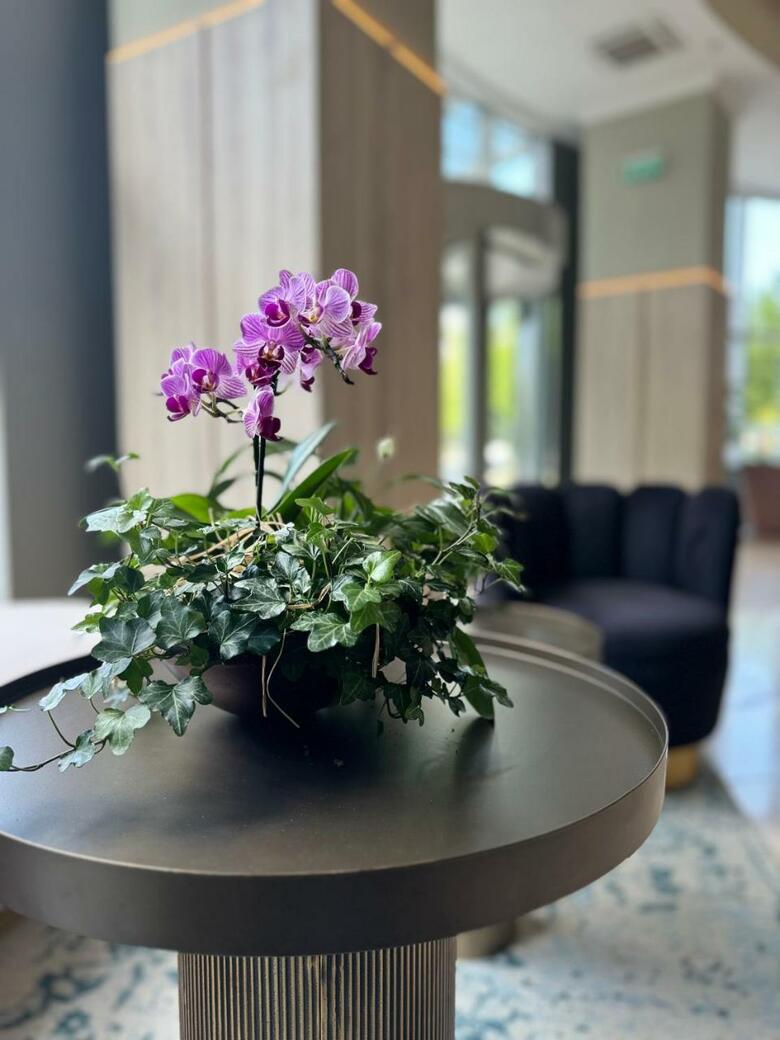 Hotel Doubletree By Hilton Bucharest