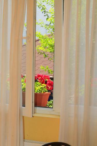 Hostal Pensiunea Blanca