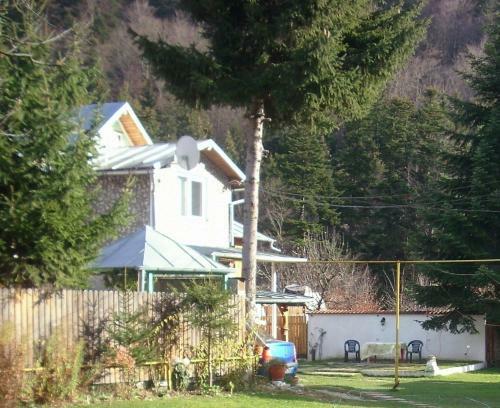 Hostal Pensiunea Montan Busteni